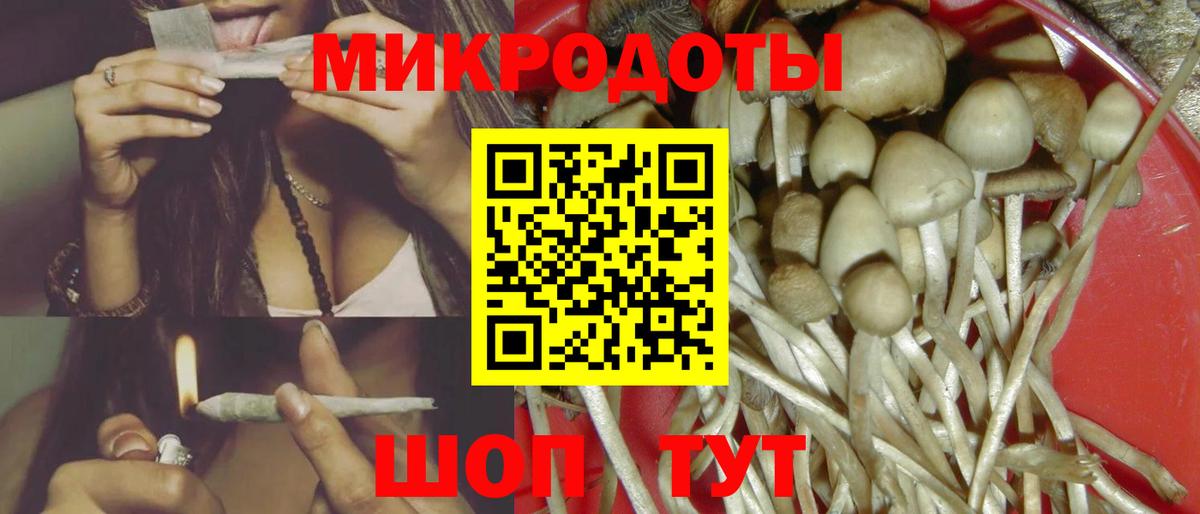 Галлюциногенные грибы Psilocybe Партизанск